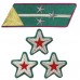 ПОЛКОВНИК, ВОЕНИНЖЕНЕР 1-го ранга войск НКВД, петлицы и нарукавные знаки обр.1935/36 г.г.